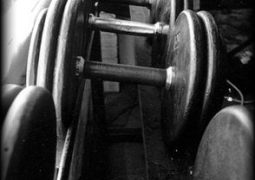 Bodybuilding Training – Tipp 7
