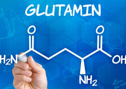 Glutamin Einnahme und Wirkung